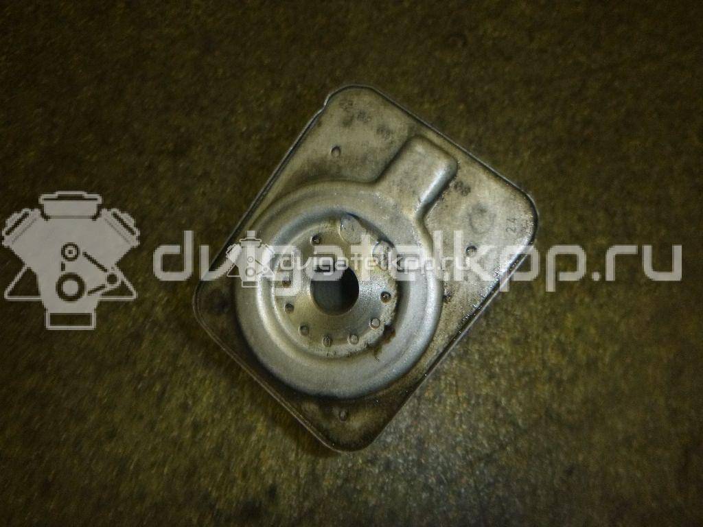 Фото Радиатор масляный для двигателя BMM для Skoda Octavia / Octaviaii 1Z3 140 л.с 8V 2.0 л Дизельное топливо 038117021D {forloop.counter}}