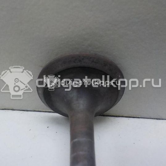 Фото Клапан выпускной  1371530030 для Toyota Dyna / Land Cruiser / Hilux