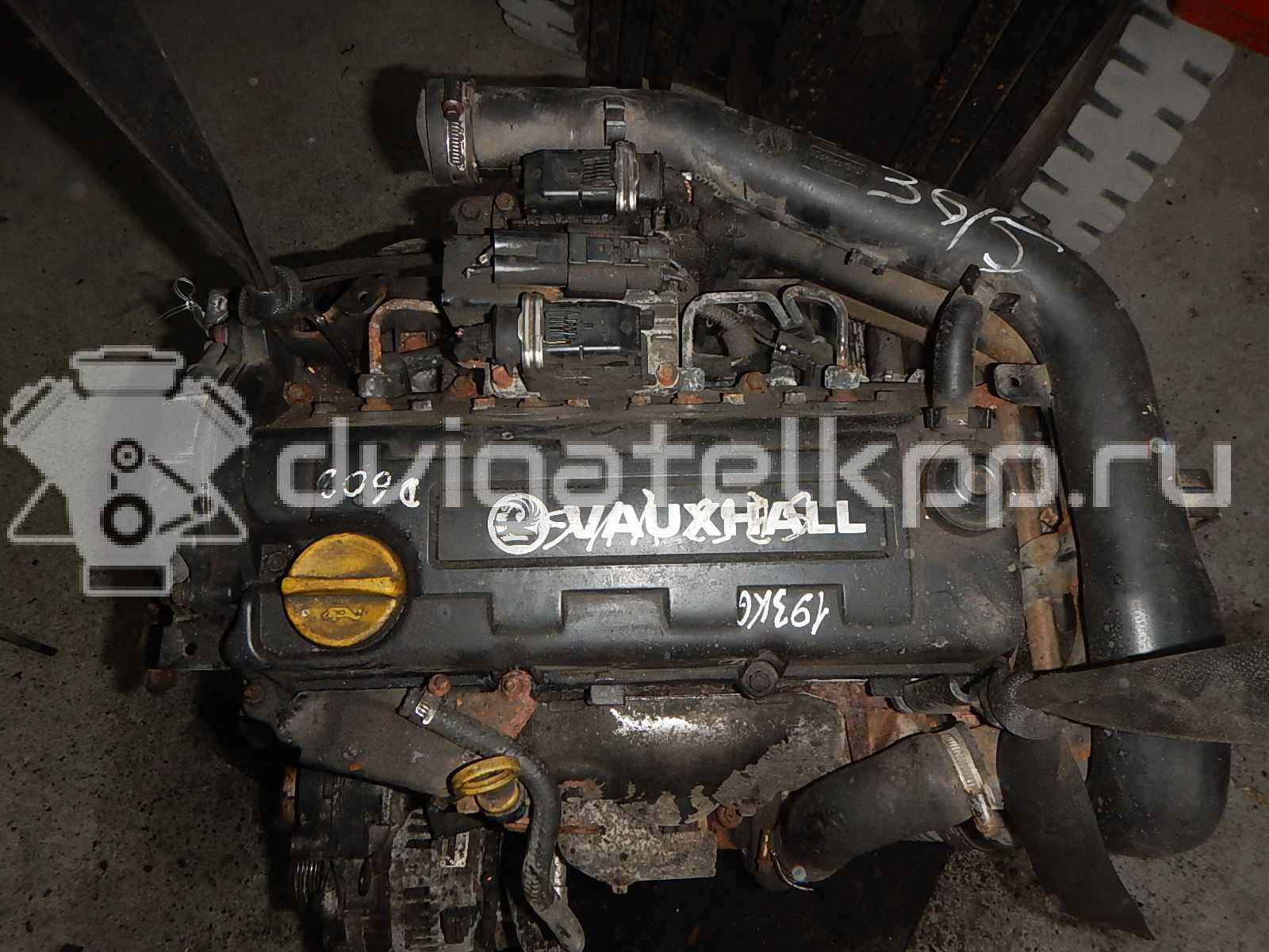 Фото Контрактный (б/у) двигатель Y 17 DTL для Opel / Chevrolet / Vauxhall 60-65 л.с 8V 1.7 л Дизельное топливо Y17DTL {forloop.counter}}