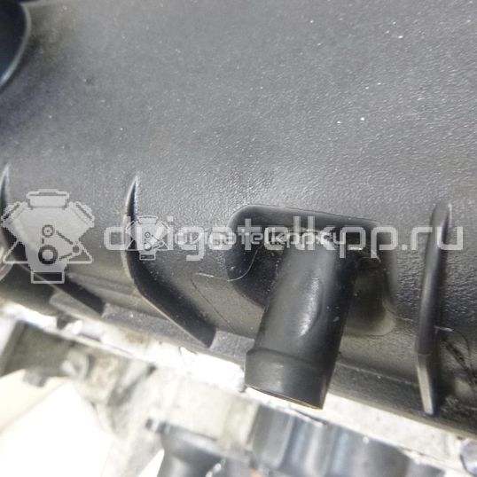 Фото Контрактный (б/у) двигатель PNDA для Ford Australia Focus 125 л.с 16V 1.6 л бензин 1752082