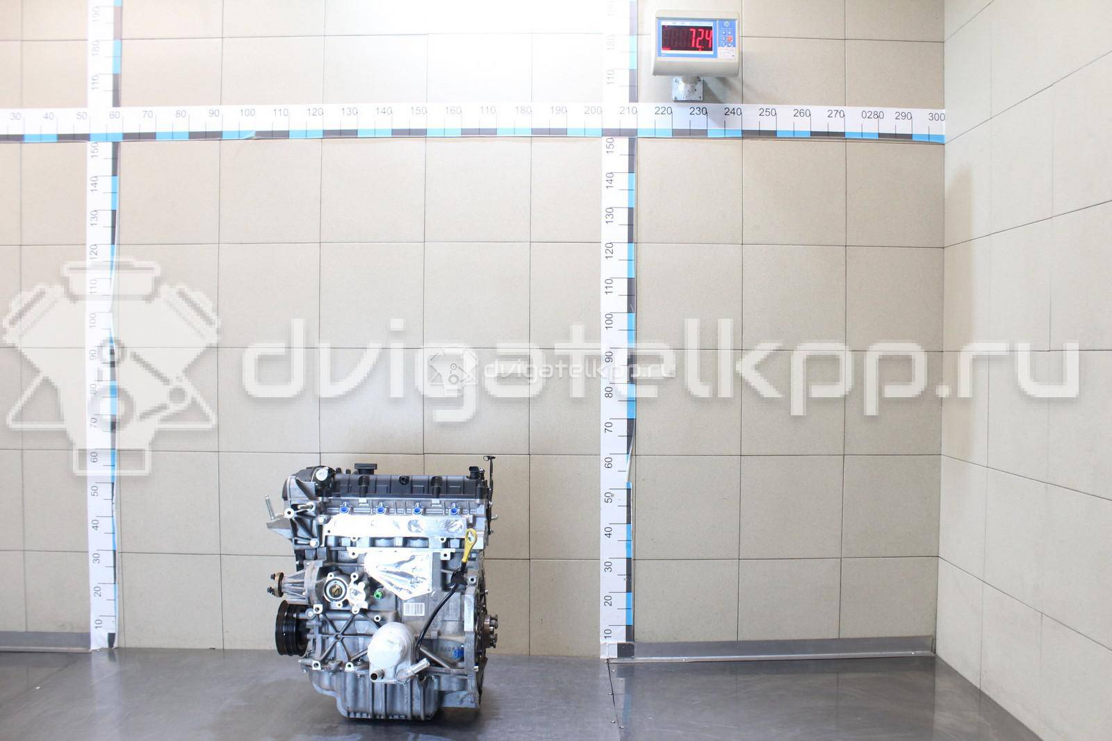 Фото Контрактный (б/у) двигатель CT для Volkswagen / Ford (Changan) 110 л.с 16V 1.5 л бензин 1727626 {forloop.counter}}