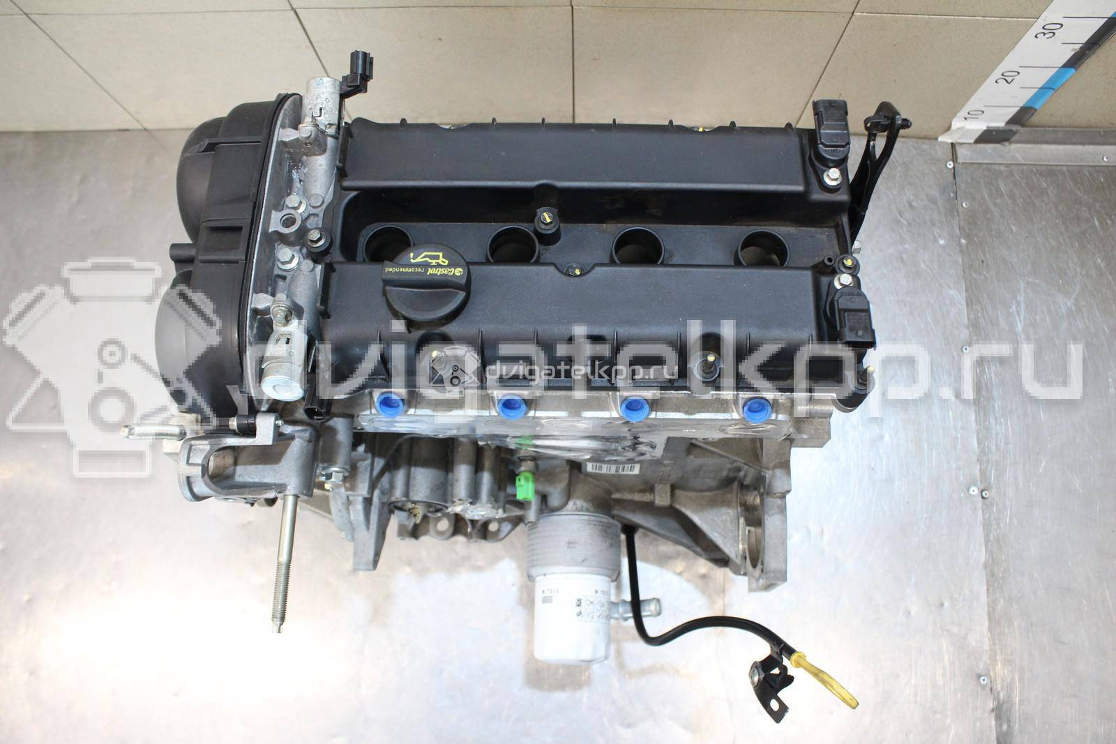 Фото Контрактный (б/у) двигатель PNDA для Ford Australia Focus 125 л.с 16V 1.6 л бензин 1727626 {forloop.counter}}