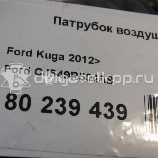 Фото Патрубок воздушного фильтра для двигателя BP (DOHC) для Mazda / Ford Australia / Eunos 125-130 л.с 16V 1.8 л бензин CJ549R504AB