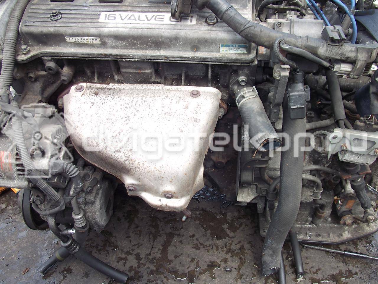 Фото Контрактный (б/у) двигатель 7A-FE для Toyota / Holden 125 л.с 16V 1.8 л бензин {forloop.counter}}