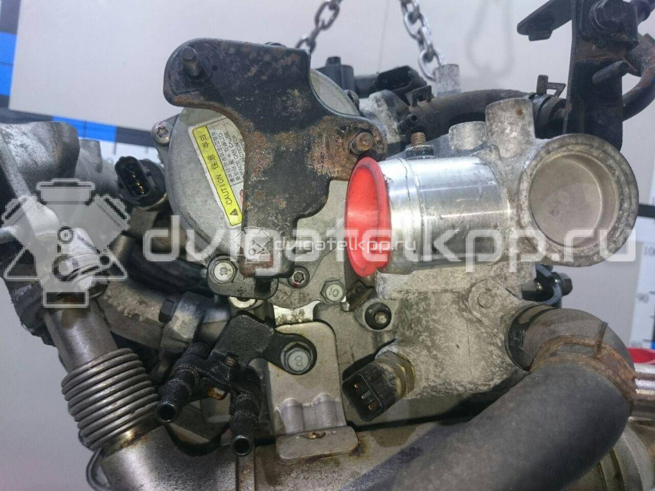 Фото Контрактный (б/у) двигатель D4FA для Ford Australia / Effedi / Hyundai / Kia 120 л.с 16V 2.4 л Дизельное топливо {forloop.counter}}