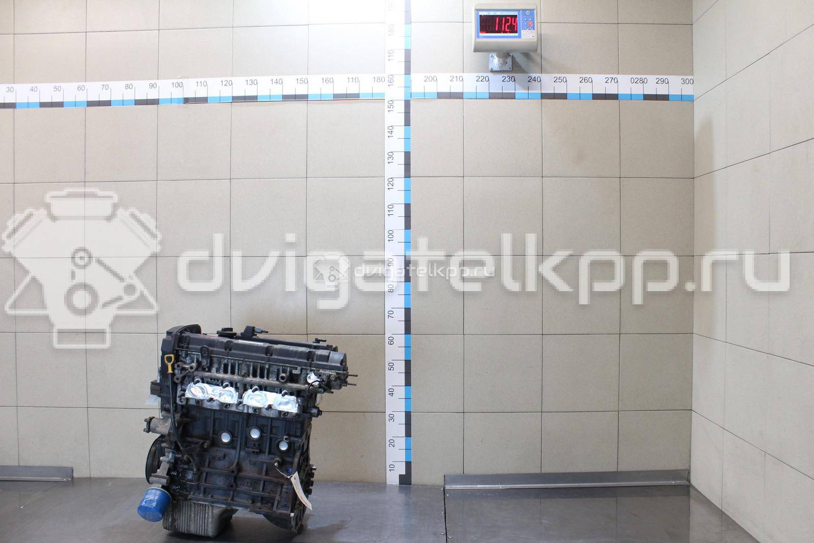 Фото Контрактный (б/у) двигатель G4GC для Hyundai (Beijing) / Hyundai / Kia 137-141 л.с 16V 2.0 л бензин G4GC2448858 {forloop.counter}}