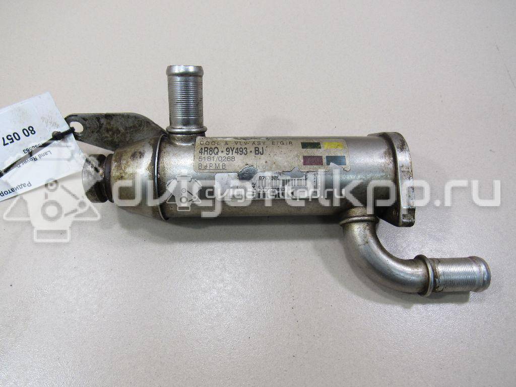 Фото Радиатор системы EGR для двигателя 276DT для Ford Australia / Land Rover 190 л.с 24V 2.7 л Дизельное топливо 1336563 {forloop.counter}}