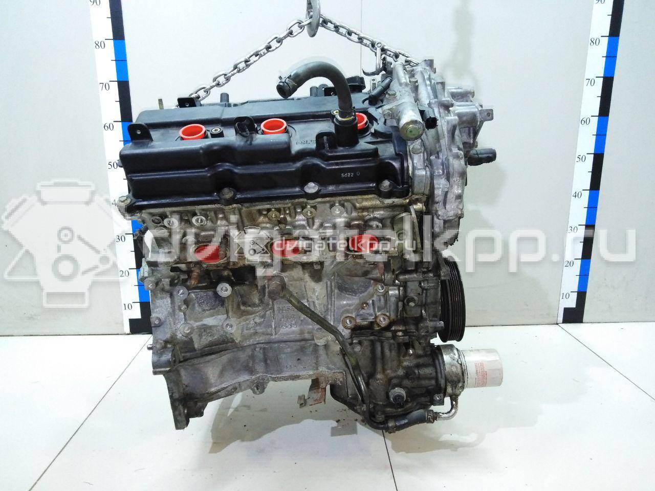 Фото Контрактный (б/у) двигатель VQ35DE для Infiniti / Mitsuoka / Isuzu / Nissan / Nissan (Dongfeng) 218-258 л.с 24V 3.5 л бензин 101029W2AF {forloop.counter}}