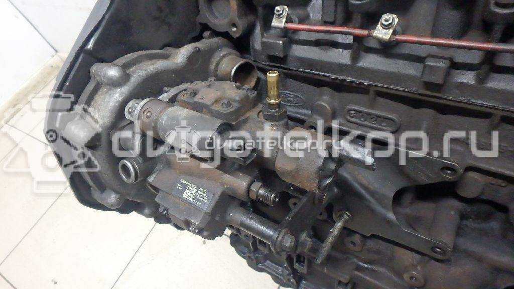 Фото Контрактный (б/у) двигатель KKDB для Ford Focus 115 л.с 8V 1.8 л Дизельное топливо {forloop.counter}}