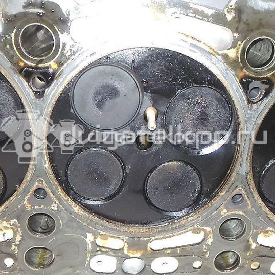 Фото Головка блока  059103264 для Volkswagen Touareg