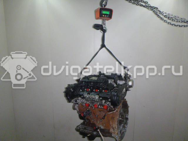 Фото Контрактный (б/у) двигатель 306DT для Land Rover Range Rover / Discovery 211-340 л.с 24V 3.0 л Дизельное топливо JDE7843 {forloop.counter}}