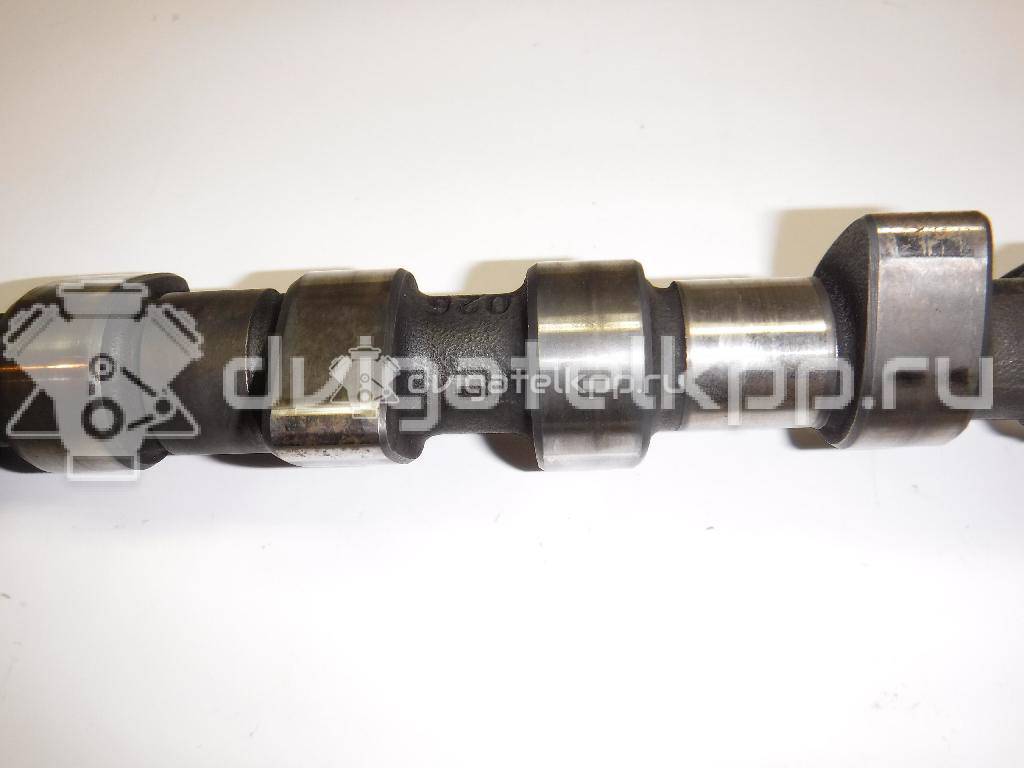 Фото Распредвал для двигателя AAM для Volkswagen Passat / Vento 1H2 / Golf 75 л.с 8V 1.8 л бензин 026109101M {forloop.counter}}