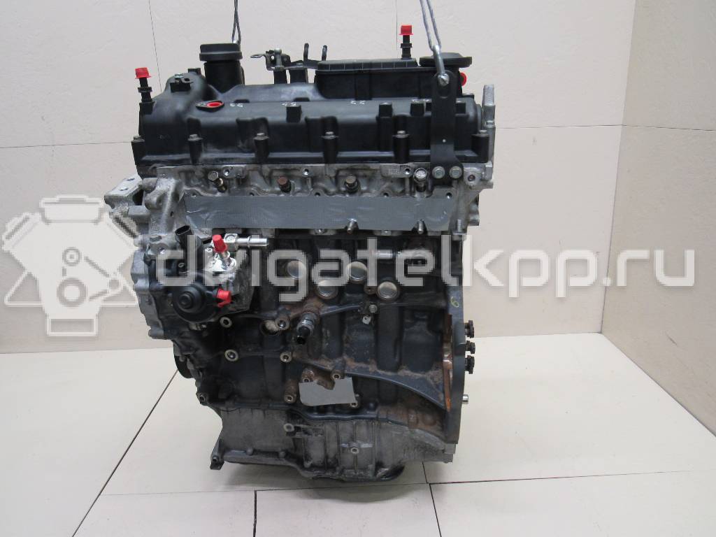 Фото Контрактный (б/у) двигатель D4HA для Hyundai / Kia 136-185 л.с 16V 2.0 л Дизельное топливо Z62412FZ00 {forloop.counter}}