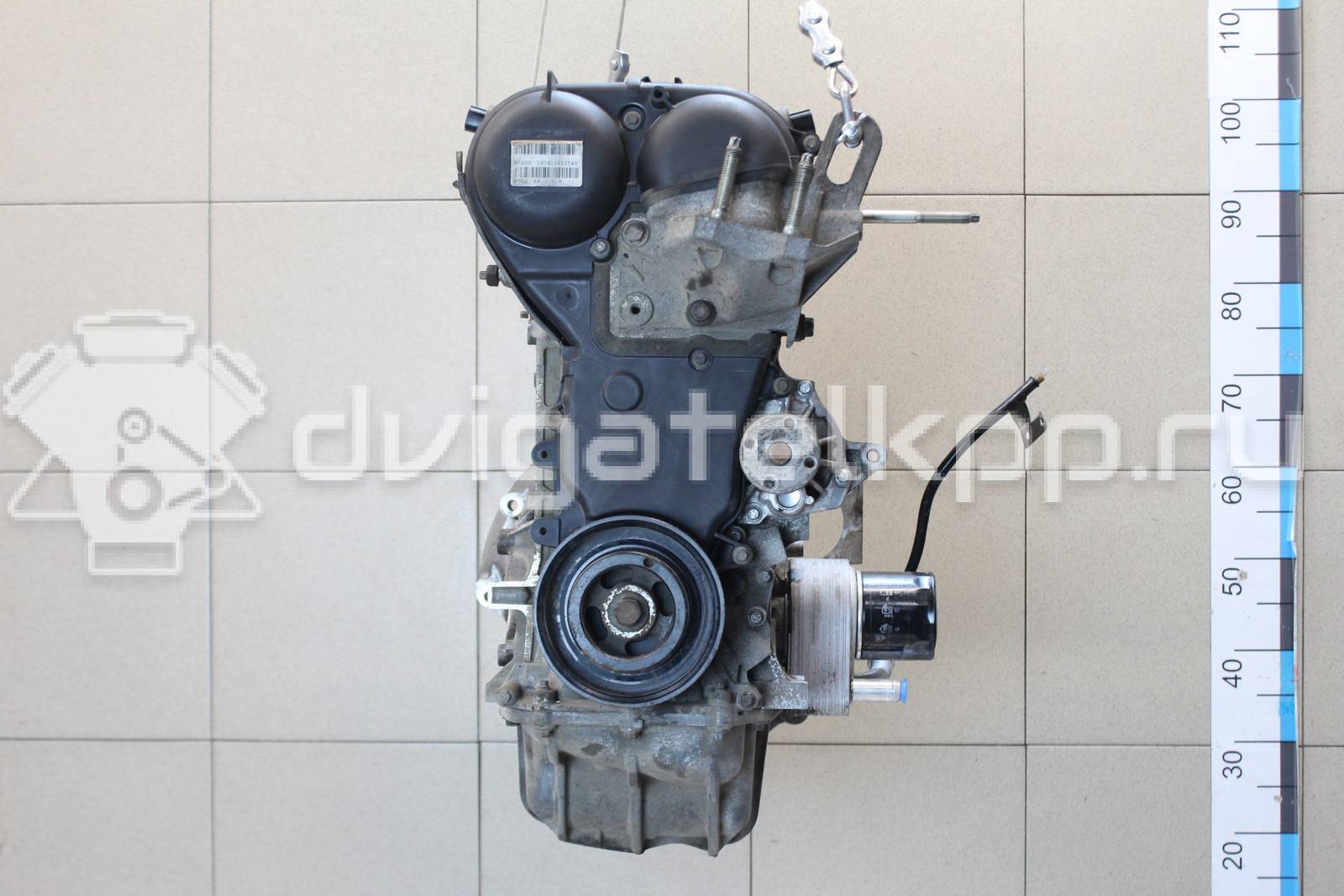 Фото Контрактный (б/у) двигатель PNDA для Ford / Ford Australia 125 л.с 16V 1.6 л бензин 1752082 {forloop.counter}}