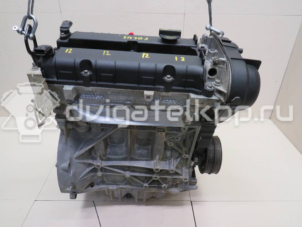 Фото Контрактный (б/у) двигатель PNDA для Ford / Ford Australia 125 л.с 16V 1.6 л бензин 1727626 {forloop.counter}}