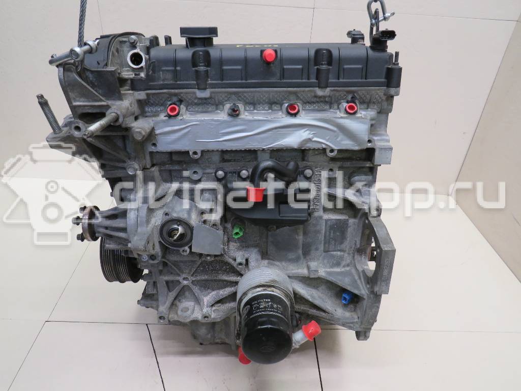 Фото Контрактный (б/у) двигатель PNDA для Ford / Ford Australia 125 л.с 16V 1.6 л бензин 1727626 {forloop.counter}}