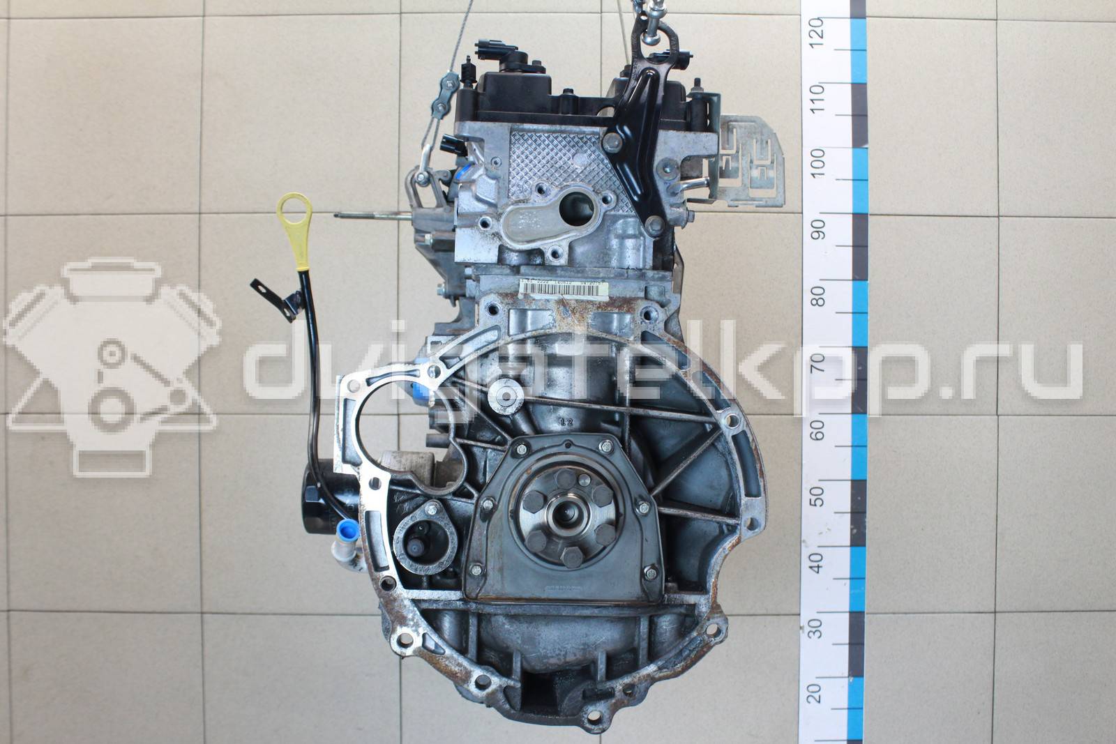 Фото Контрактный (б/у) двигатель IQDB для Ford Focus / C-Max / Grand 105 л.с 16V 1.6 л бензин 1727626 {forloop.counter}}