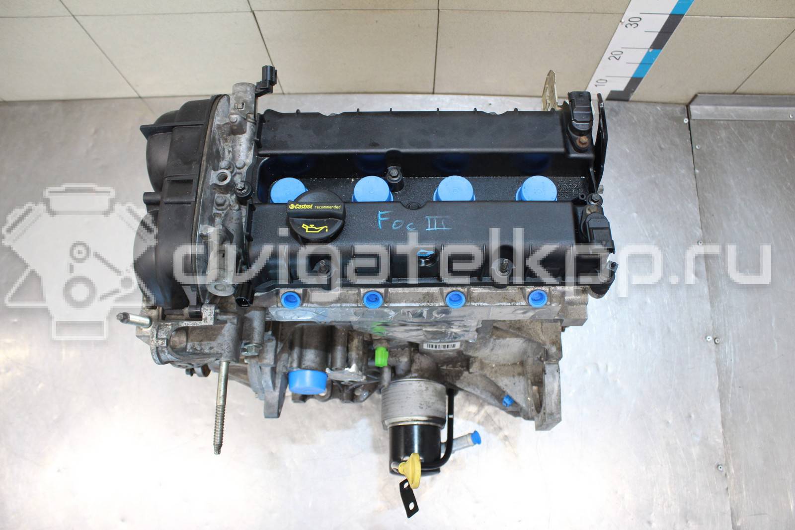 Фото Контрактный (б/у) двигатель IQDB для Ford Focus / C-Max / Grand 105 л.с 16V 1.6 л бензин 1727626 {forloop.counter}}