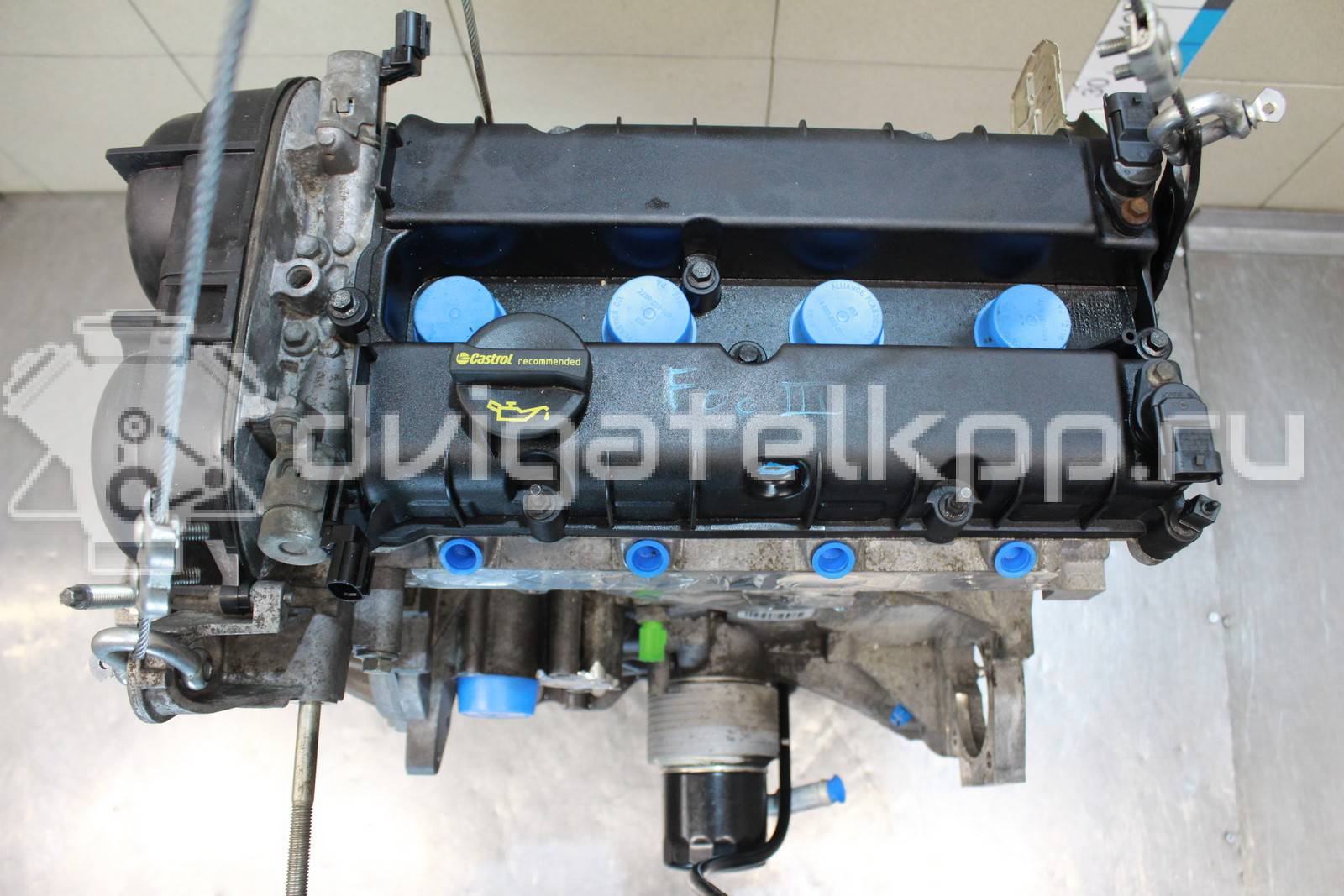 Фото Контрактный (б/у) двигатель PNDA для Ford Australia Focus 125 л.с 16V 1.6 л бензин 1727626 {forloop.counter}}