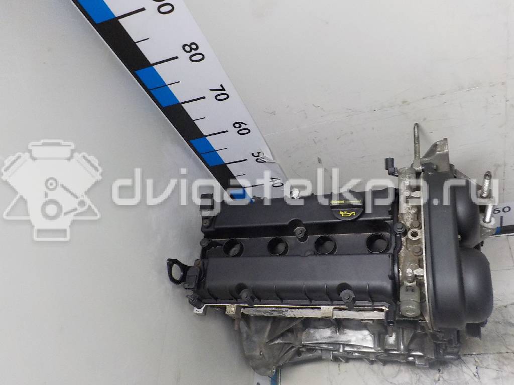 Фото Контрактный (б/у) двигатель CT для Volkswagen / Ford (Changan) 110 л.с 16V 1.5 л бензин 1752082 {forloop.counter}}