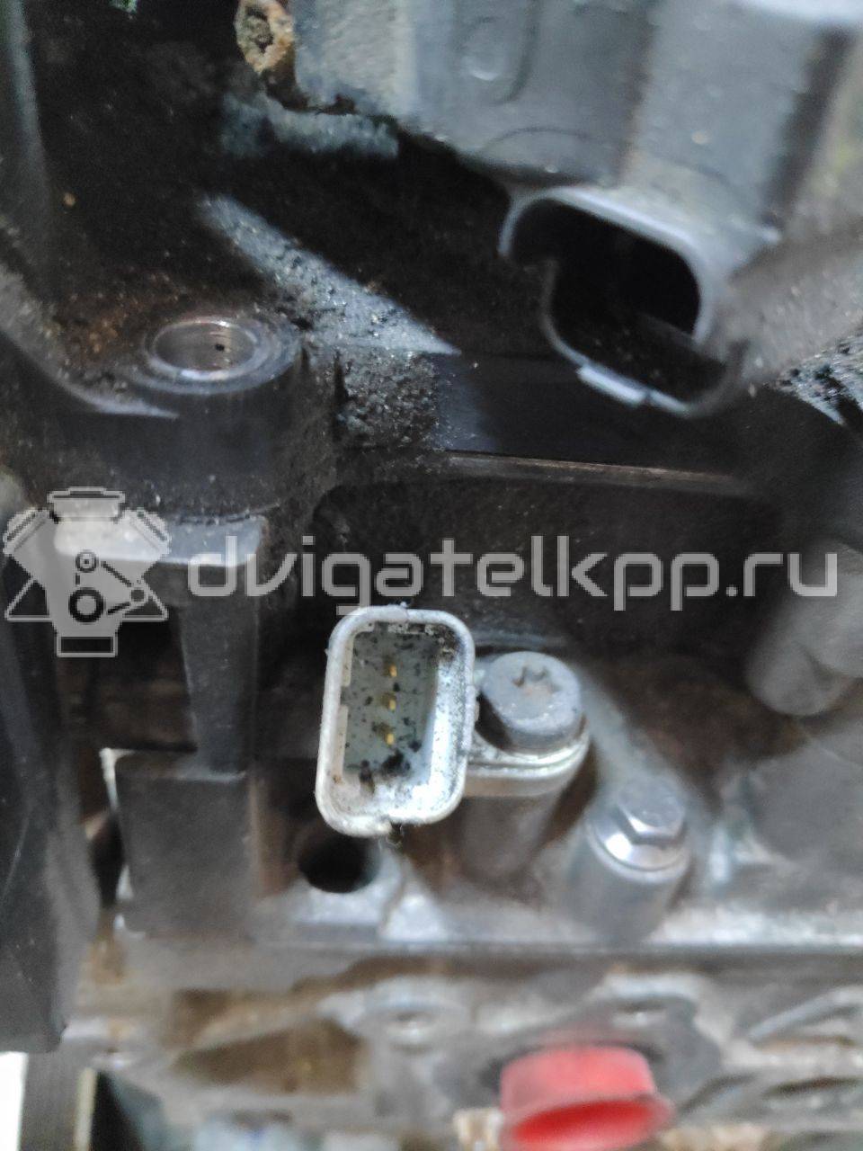 Фото Контрактный (б/у) двигатель 8HZ (DV4TD) для Peugeot / Citroen 68-70 л.с 8V 1.4 л Дизельное топливо 0135hz {forloop.counter}}