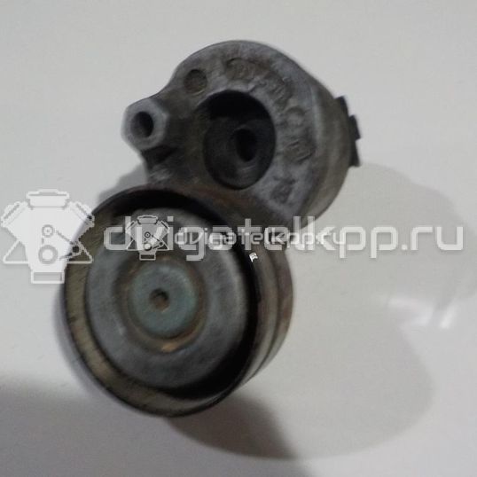 Фото Ролик-натяжитель ручейкового ремня  117507271R для nissan Primera P12E