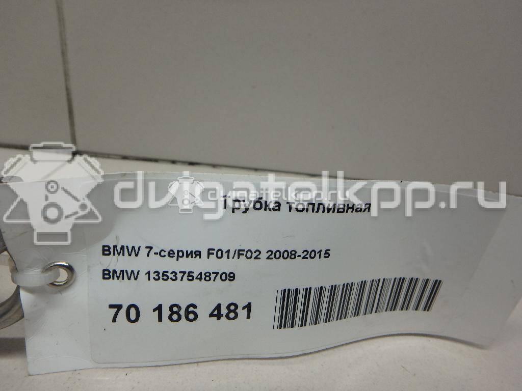 Фото Трубка топливная для двигателя N63 B44 A для Alpina / Bmw 540-600 л.с 32V 4.4 л бензин 13537548709 {forloop.counter}}