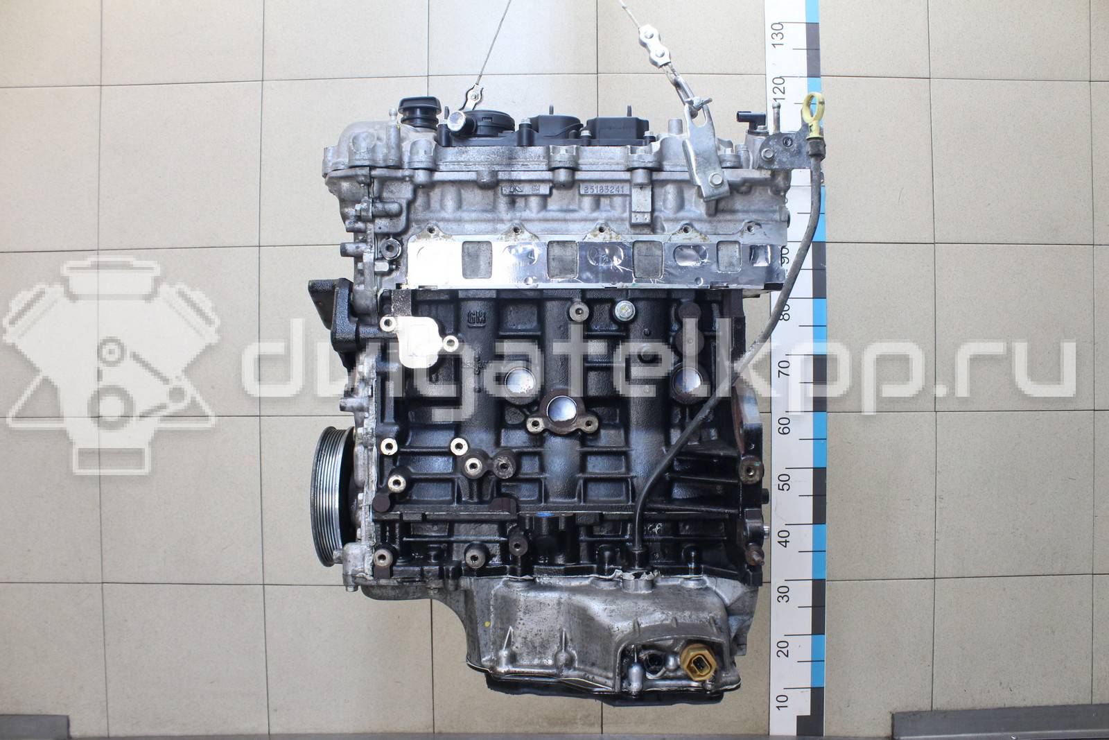 Фото Контрактный (б/у) двигатель Z 22 D1 для Chevrolet / Holden 163-188 л.с 16V 2.2 л Дизельное топливо 25196692 {forloop.counter}}