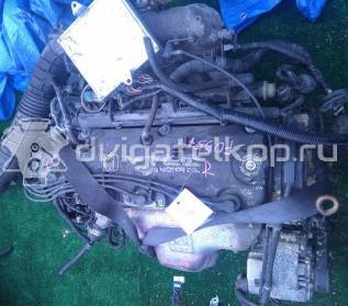 Фото Контрактный (б/у) двигатель F23Z5 для Honda / Honda (Gac) 141-154 л.с 16V 2.3 л бензин {forloop.counter}}