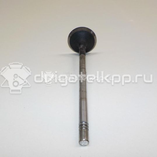 Фото Клапан выпускной  500362856 для Fiat Ducato