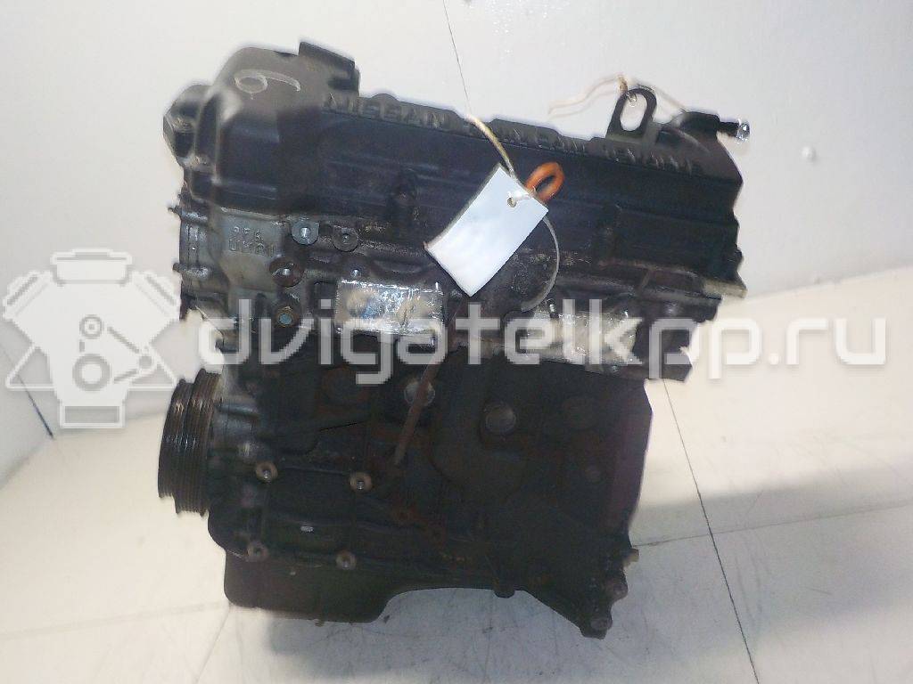 Фото Контрактный (б/у) двигатель QG18DE для Nissan Expert / Pulsar / Sentra / Sunny / Bluebird 106-128 л.с 16V 1.8 л бензин 101029FLSB {forloop.counter}}