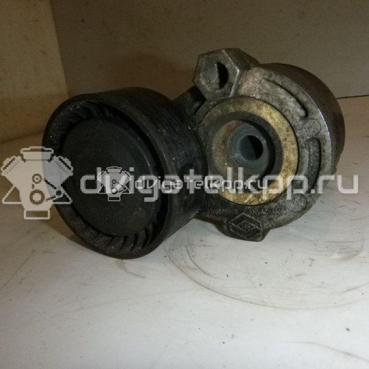 Фото Натяжитель ремня  117509654R для Nissan Tiida / Micra / Note / Kubistar / Nv200