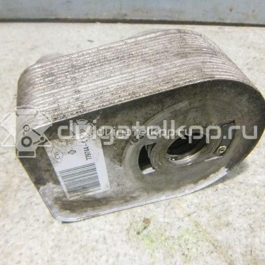 Фото Радиатор масляный  8200779744 для Nissan Tiida / Micra / Note / Kubistar / Nv200