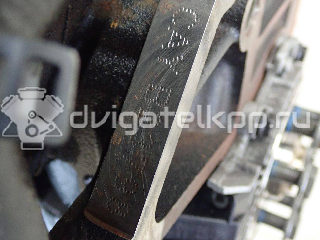 Фото Контрактный (б/у) двигатель CAYC для Volkswagen Touran / Golf / Passat / Beetle / Jetta 105 л.с 16V 1.6 л Дизельное топливо {forloop.counter}}