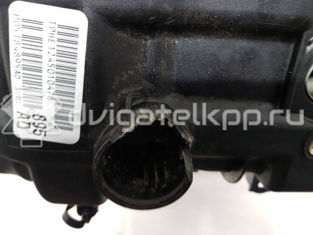 Фото Контрактный (б/у) двигатель ERB для Chrysler / Dodge / Fiat / Ram / Jeep 280 л.с 24V 3.6 л бензин {forloop.counter}}