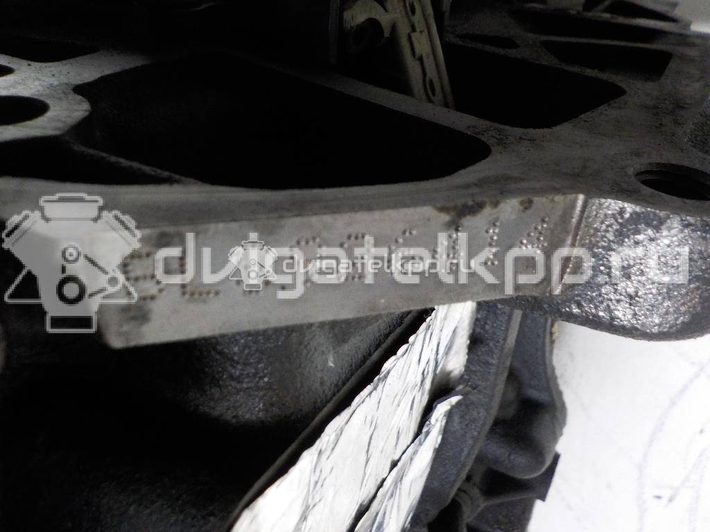 Фото Контрактный (б/у) двигатель BLS для Audi / Seat 105 л.с 8V 1.9 л Дизельное топливо 03g100037h {forloop.counter}}