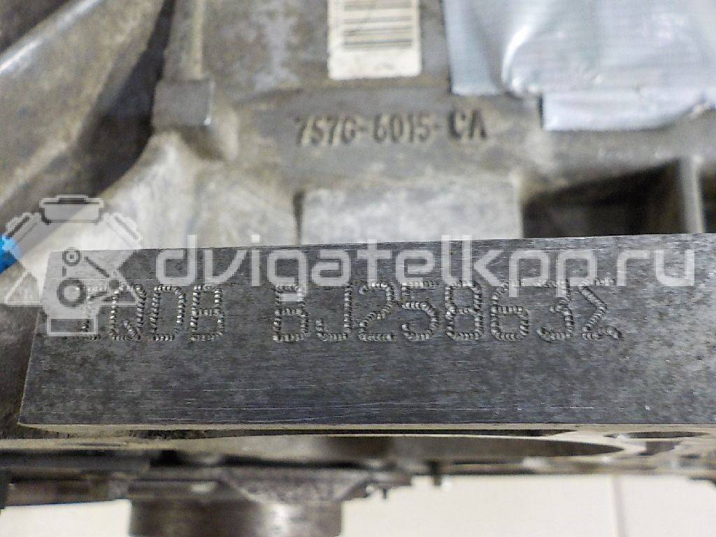 Фото Контрактный (б/у) двигатель CT для Volkswagen / Ford (Changan) 110 л.с 16V 1.5 л бензин 1752082 {forloop.counter}}