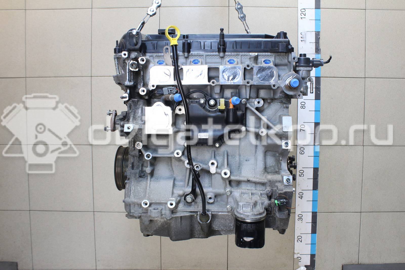 Фото Контрактный (б/у) двигатель QQDA для Ford Focus / C-Max 125 л.с 16V 1.8 л бензин 1525706 {forloop.counter}}