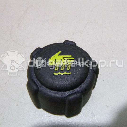 Фото Крышка расширительного бачка  8200048024 для Renault Megane / Trafic / Master / Clio / 19