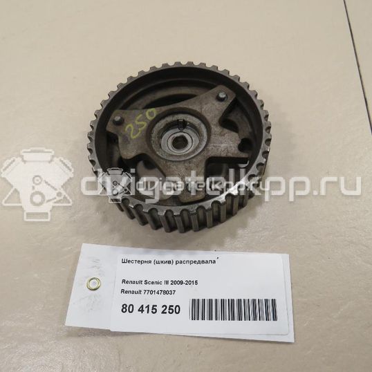 Фото Шестерня (шкив) распредвала  7701478037 для Renault Modus Grand F Jp0 / Megane / Clio / Laguna / Scénic