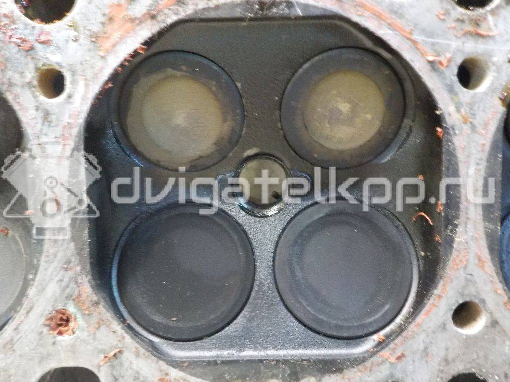 Фото Головка блока  5607064 для Holden / Opel / Vauxhall {forloop.counter}}