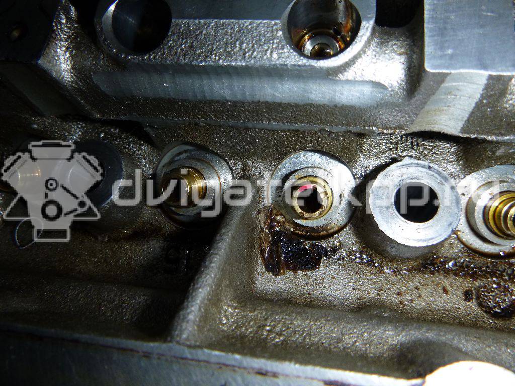 Фото Головка блока для двигателя BUD для Volkswagen / Skoda 80 л.с 16V 1.4 л бензин 036103351M {forloop.counter}}