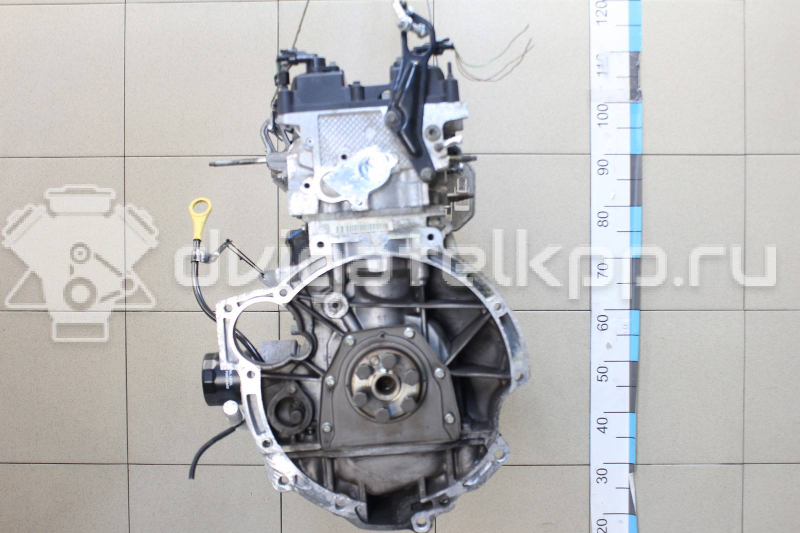 Фото Контрактный (б/у) двигатель CT для Volkswagen / Ford (Changan) 110 л.с 16V 1.5 л бензин 1752082 {forloop.counter}}