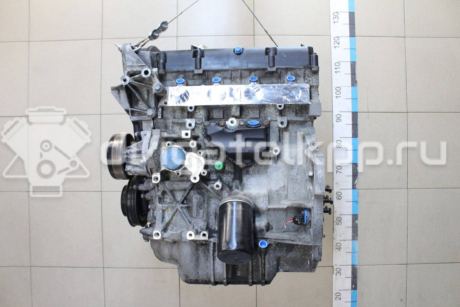 Фото Контрактный (б/у) двигатель FYJB для Ford / Ford Australia / Ford Asia / Oceania 100 л.с 16V 1.6 л бензин 1571097 {forloop.counter}}