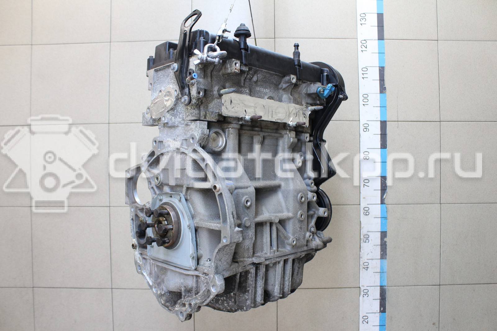 Фото Контрактный (б/у) двигатель FYJB для Ford / Ford Australia / Ford Asia / Oceania 100 л.с 16V 1.6 л бензин 1571097 {forloop.counter}}