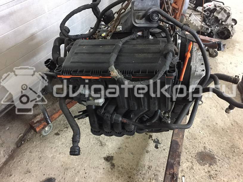 Фото Контрактный (б/у) двигатель CGGA для Skoda Octavia / Octaviaii 1Z3 80 л.с 16V 1.4 л бензин {forloop.counter}}