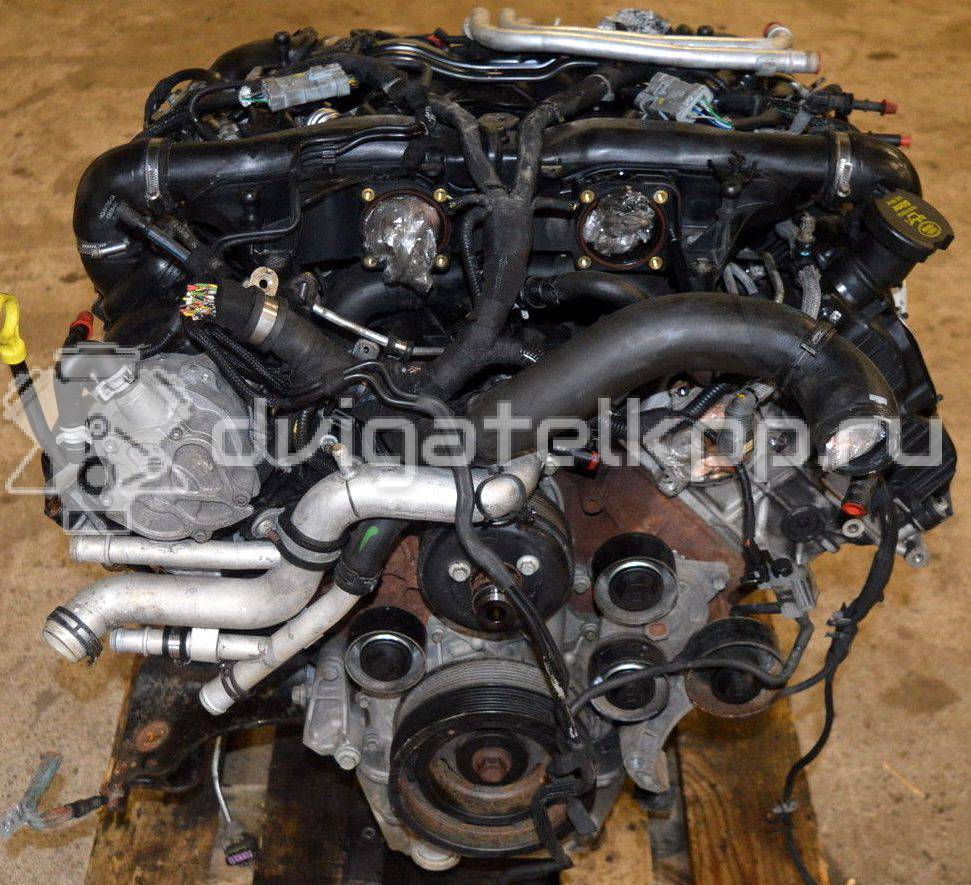 Фото Контрактный (б/у) двигатель 368DT для Land Rover Range Rover 272 л.с 32V 3.6 л Дизельное топливо {forloop.counter}}