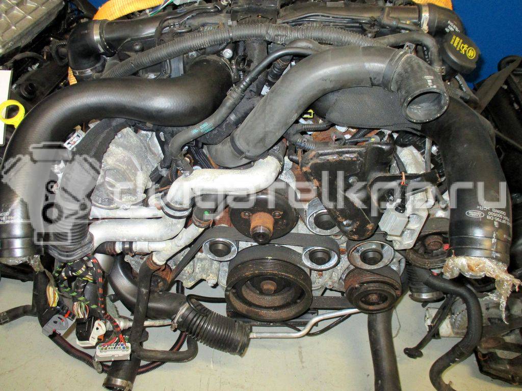 Фото Контрактный (б/у) двигатель 368DT для Land Rover Range Rover 272 л.с 32V 3.6 л Дизельное топливо {forloop.counter}}