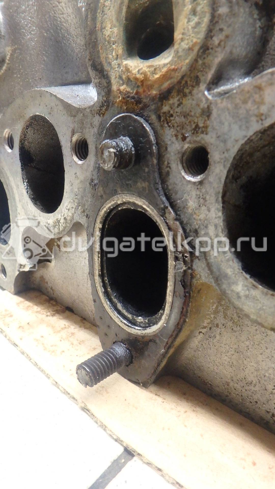 Фото Головка блока  026103351Q для Volkswagen Passat / Vento 1H2 / Golf {forloop.counter}}