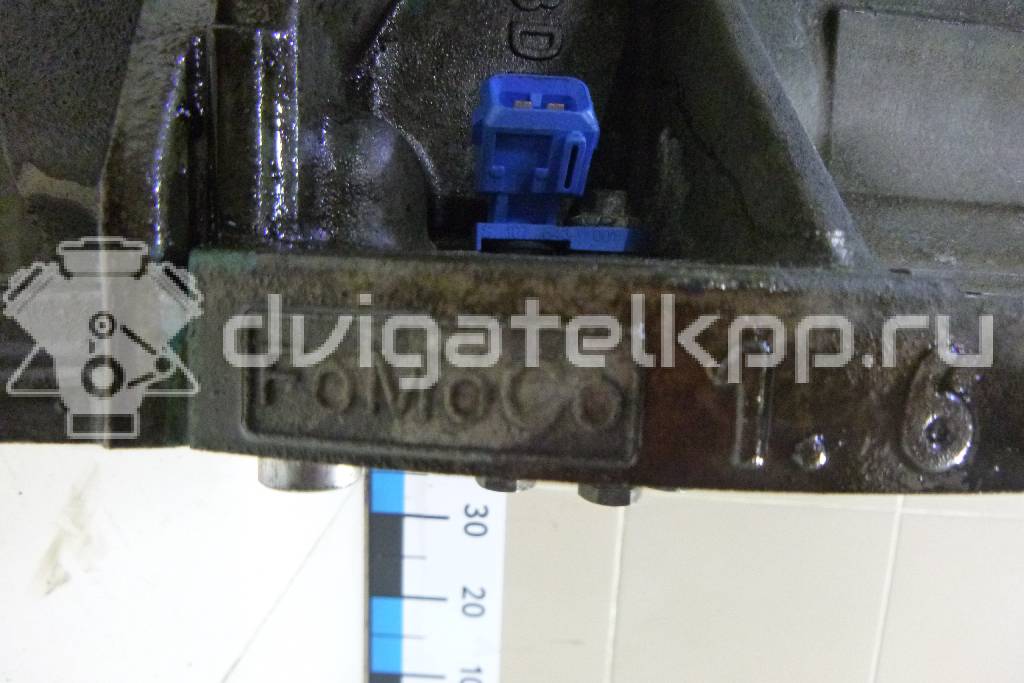 Фото Контрактный (б/у) двигатель CT для Volkswagen / Ford (Changan) 110 л.с 16V 1.5 л бензин 1752082 {forloop.counter}}